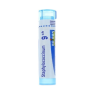 Boiron Staphylococcinum 9CH Boiron Staphylococcinum 9CH