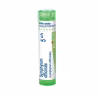 Boiron Symphytum Officinale 5CH