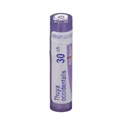 Boiron Thuya Occidentalis 30CH