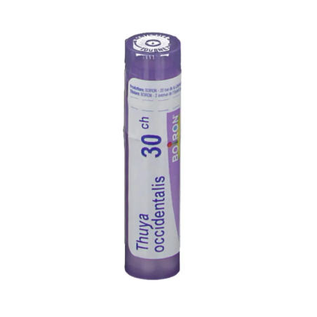 Boiron Thuya Occidentalis 30CH Boiron Thuya Occidentalis 30CH
