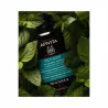 Apivita Oily Hair Champú Equilibrador de Grasa 250ml