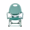 Chicco Pocket Snack Booster Seat Sage