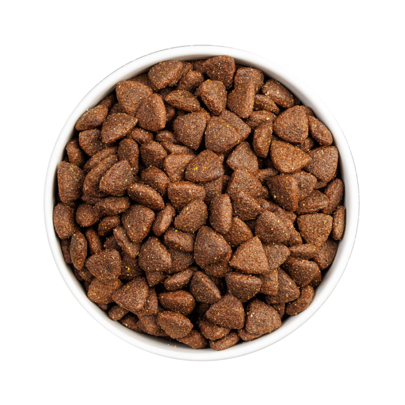 Ownat Classic Monoprotéiné Chien Porc Ibérique 12kg