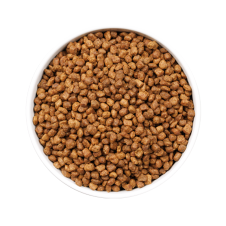 Ownat Ultra Gato Kitten 3kg