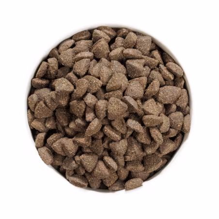 Ownat Grain Free Prime Cão Adult Lamb 12kg