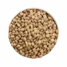 Ownat Author Chien Fresh Lamb & Pork 10kg