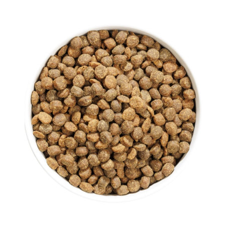 Ownat Author Perro Junior Fresh Chicken 10kg
