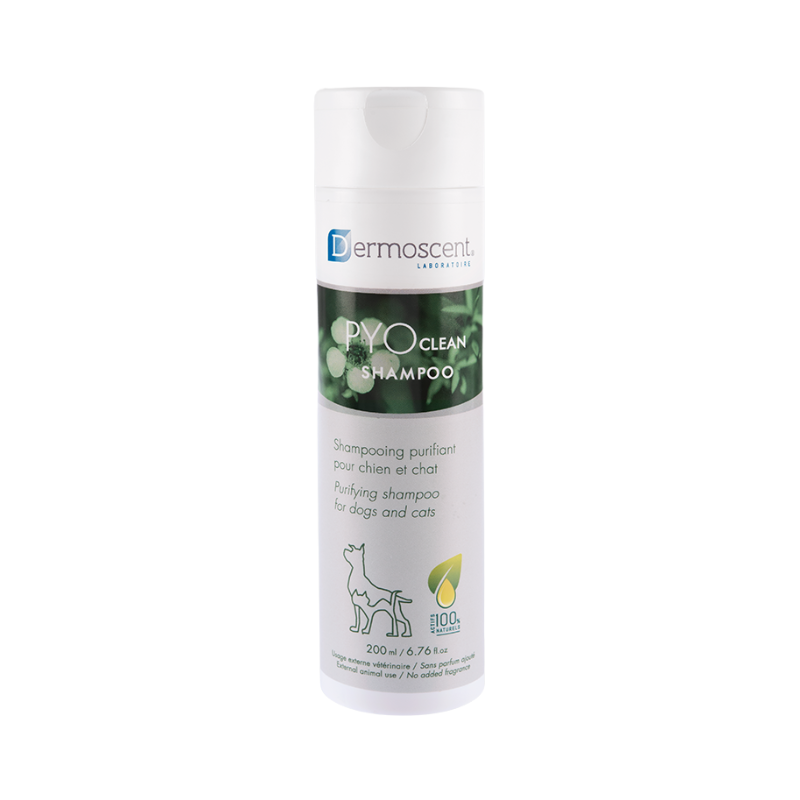 Dermoscent PYOclean Shampooing 200ml