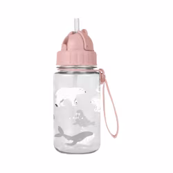 Saro Garrafa com Palhinha e Fita Polaris Rosa 450ml