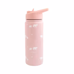 Saro Garrafa Térmica com Palhinha Polaris Rosa 500ml