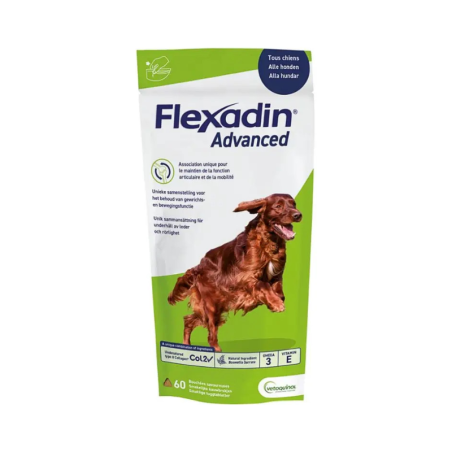 Comprimés Flexadin Advanced 60