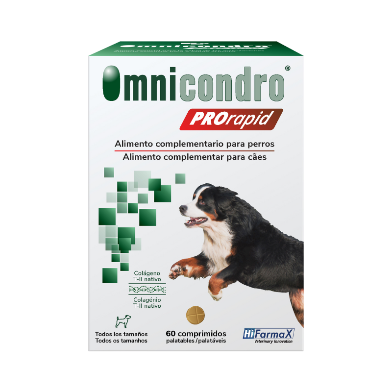 Omnichondro Pro-Rapid 60 comprimidos