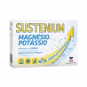 Sustenium Magnésio e Potássio 14 saquetas