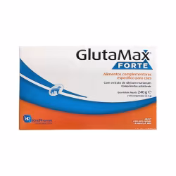 Glutamax Fort 120 comprimés
