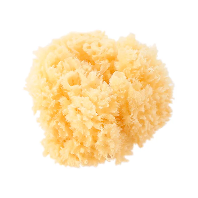 Saro Natural Sponge