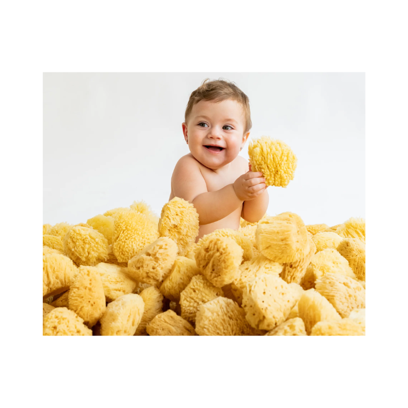 Saro Esponja Natural Premium