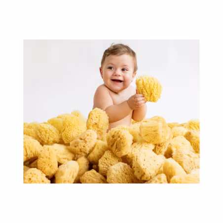 Saro Esponja Natural Premium