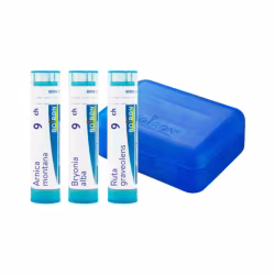 Boiron Protocole Traumatologie