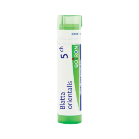 Boiron Blatta Orientalis 5CH