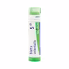Boiron Blatta Orientalis 5CH