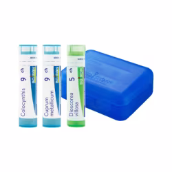 Boiron Protocolo Cólicos Menstruales