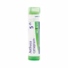 Boiron Aethusa Cynapium 5CH