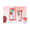 Klorane Grenade Shampoing 200ml