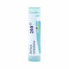 Boiron Arnica Montana 200CH
