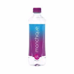 Monchique Água Mineral Alcalina 9.5pH 510ml