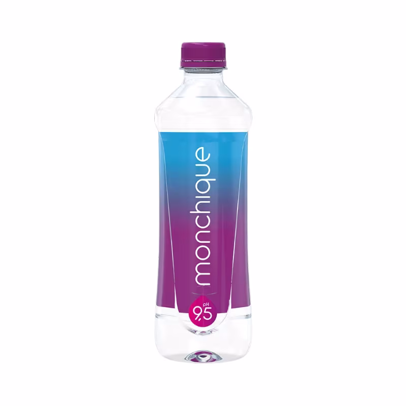 Monchique Água Mineral Alcalina 9.5pH 510ml