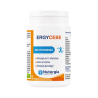 Nutergia ErgyCebe 90 capsules