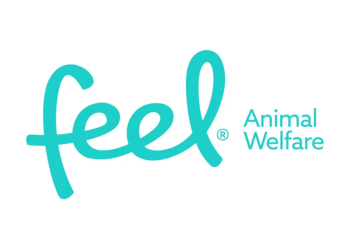 Feel